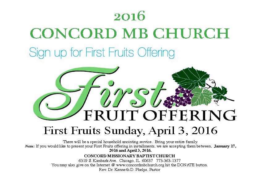 First Fruit Flyer 2016